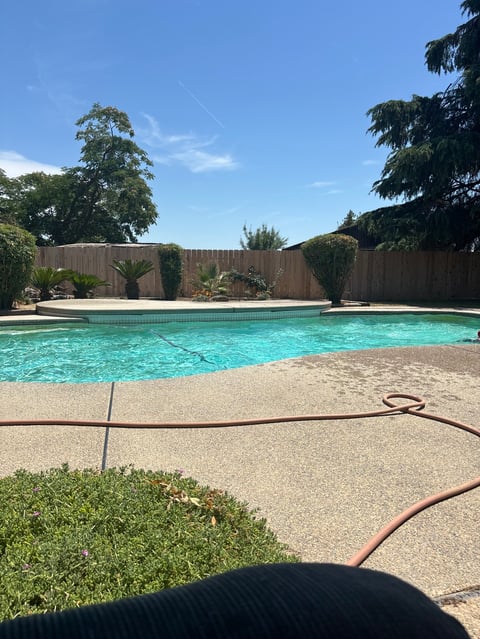 Crystal blue backyard swimming pool with sandy deck, wooden fence, and surrounding landscaping on a sunny day