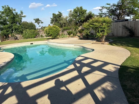Backyard swimming pool with turquoise water, concrete deck, surrounding landscape trees, and fence under clear sky